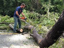 Seasonal Cleanup (Spring/Fall) in Seven Fields, PA